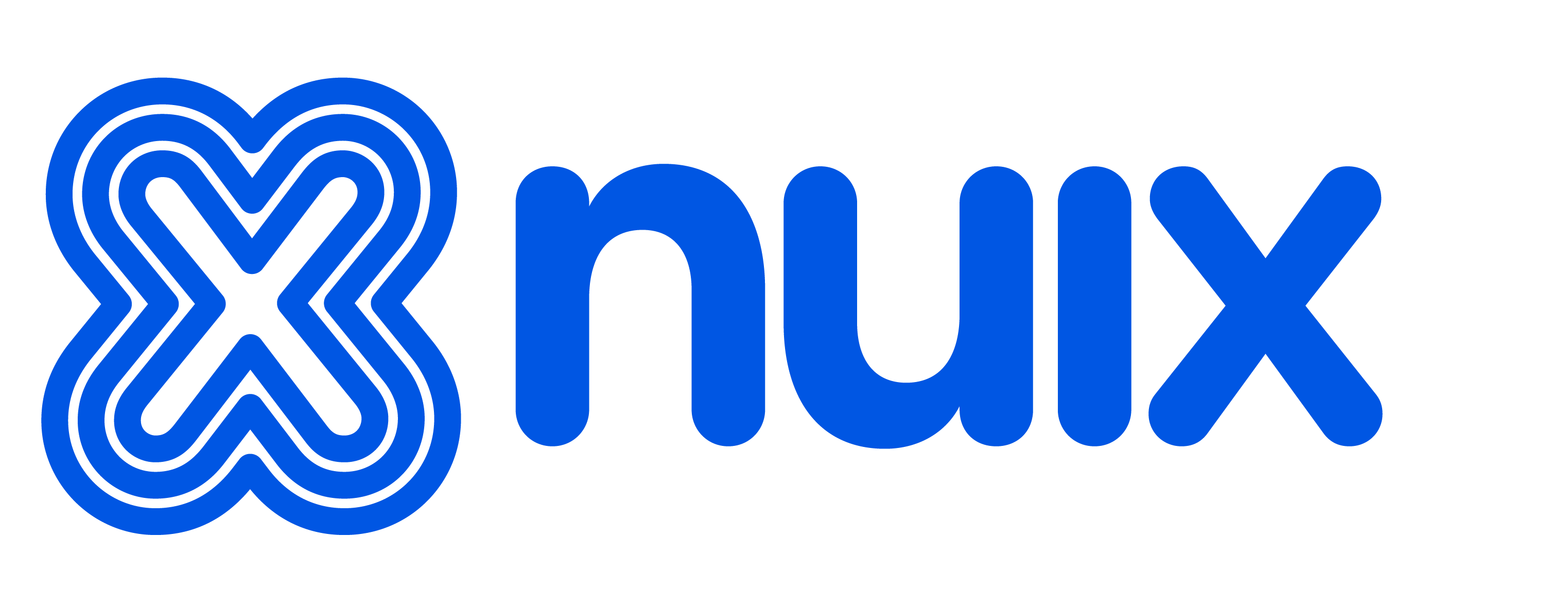 nuix landscape lockup logo_RGB